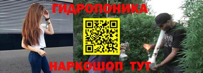 трава Лесосибирск