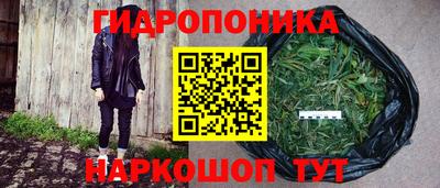 Альфа ПВП Малгобек
