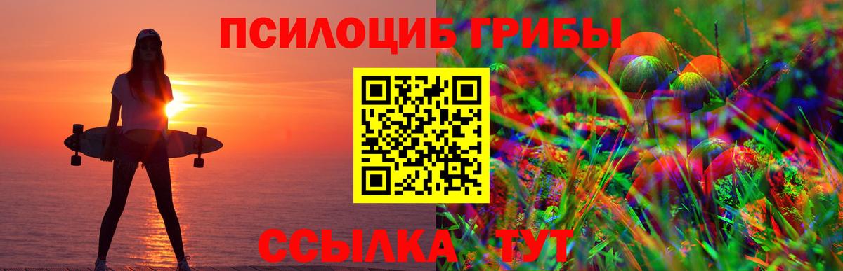 Галлюциногенные грибы ЛСД Черняховск