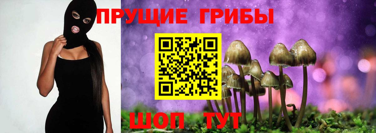 Черняховск  Галлюциногенные грибы ЛСД  Вход с VPN  Галлюциногенные грибы мицелий 